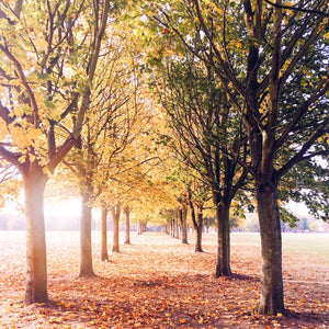 The Best Autumn 'To-Do' List (or more accurately 'To Enjoy' List)