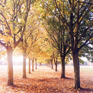 The Best Autumn 'To-Do' List